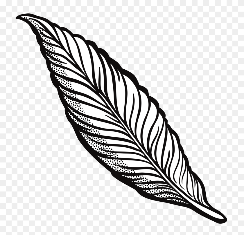 750x750 Feather Drawing Line Art Quill Cartoon - Quill Clipart