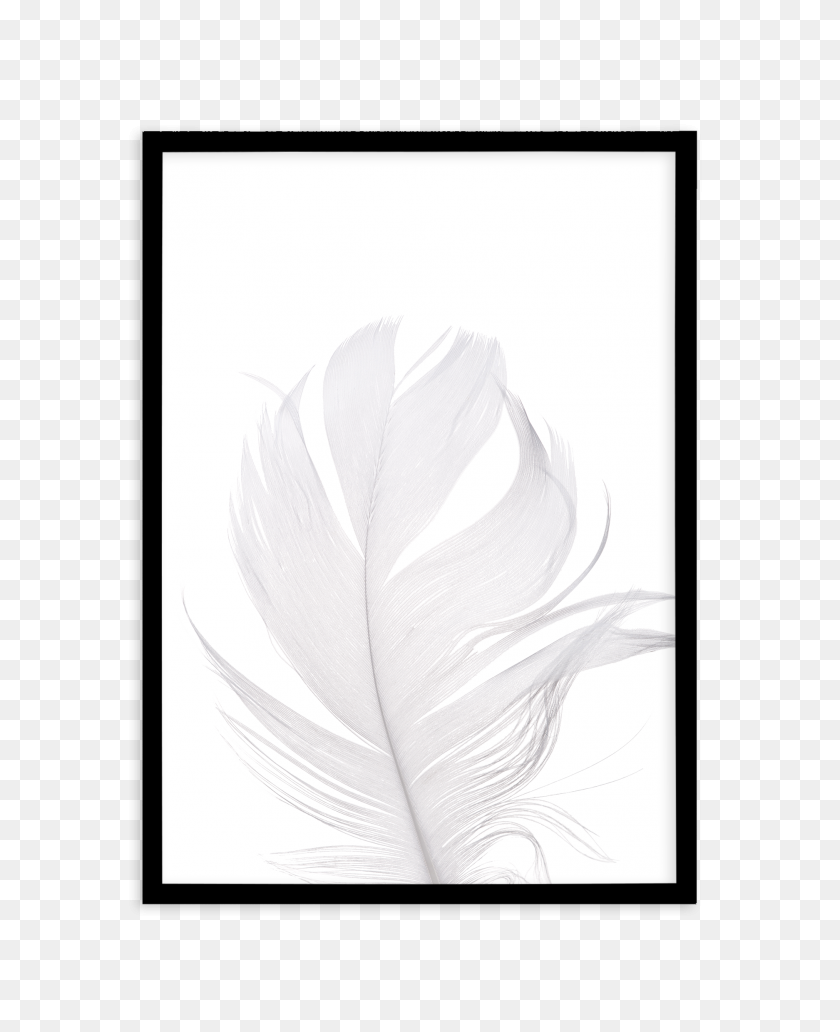 1874x2336 Feather Ii White Art Print Or Poster - White Feather PNG