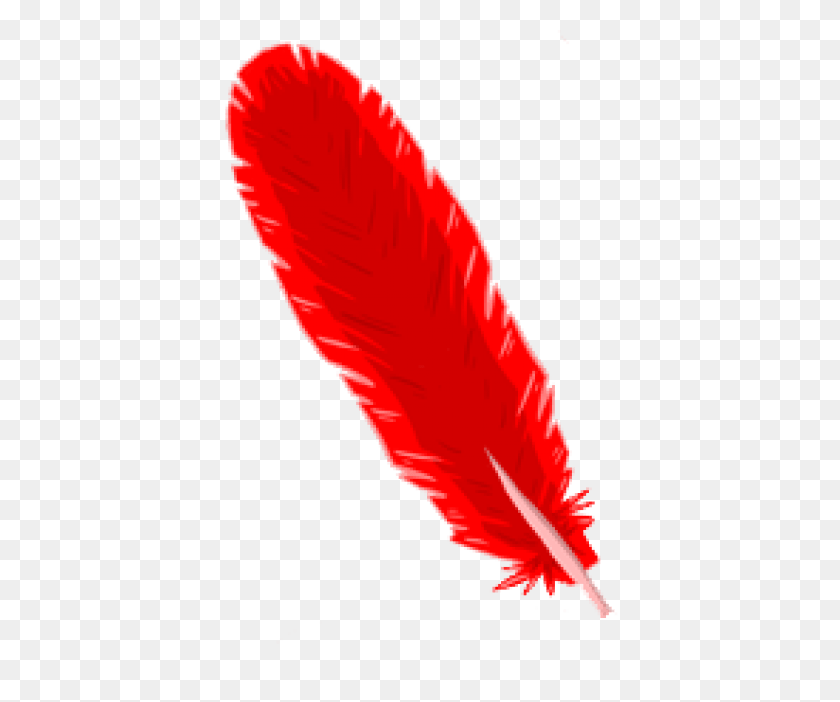 480x642 Feather Png - Black Feathers PNG
