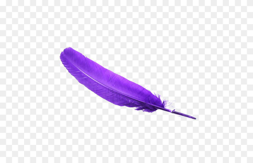 480x480 Feather Png - Feather PNG