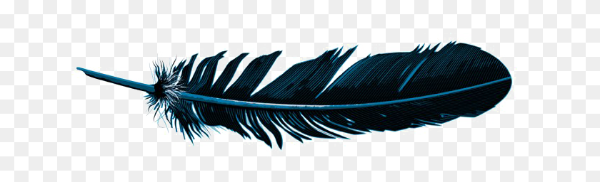 640x196 Feather Png Pic Png Arts - Feather PNG