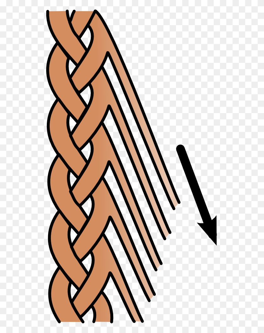 545x1000 Feathered Braid Graphic - Braid PNG