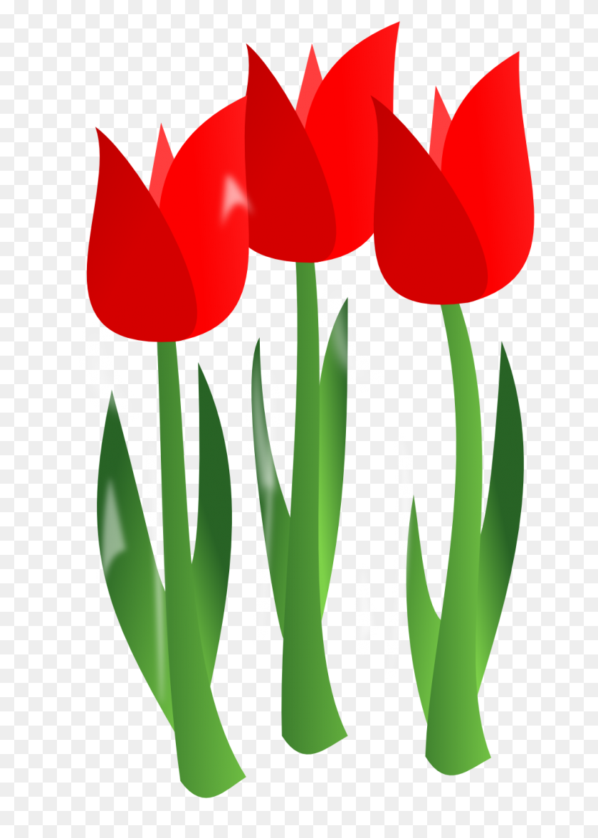 999x1432 February Clip Art - Branch Clipart PNG