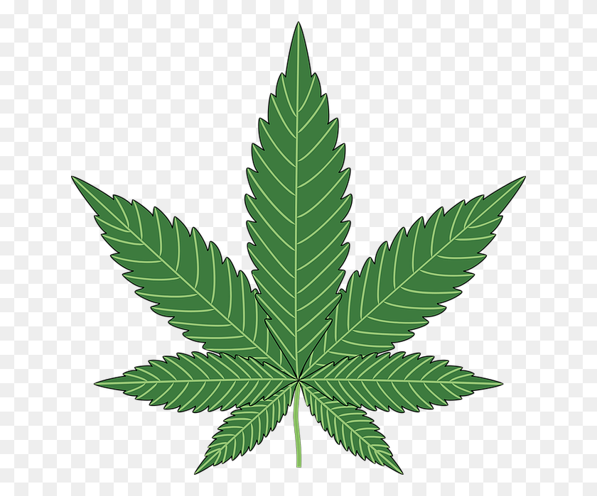 640x639 Los Federales Dan El Primer Paso Hacia La Aprobación De Un Derivado Del Cannabis - Weed Clipart