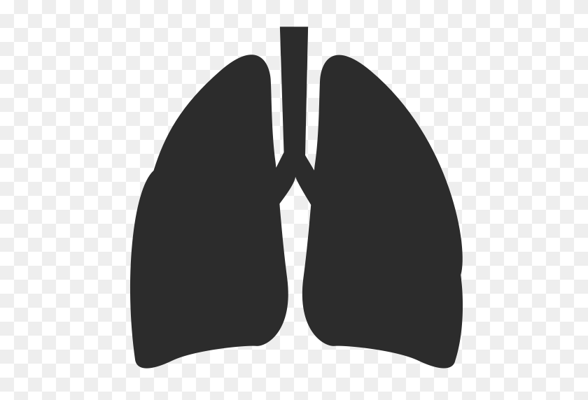 512x512 Feibu, Lungs, Medical Icon With Png And Vector Format For Free - Lungs Clipart