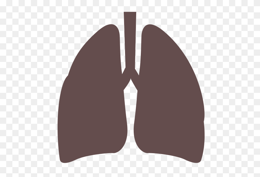 512x512 Feibu, Lungs, Medical Icon With Png And Vector Format For Free - Lungs PNG