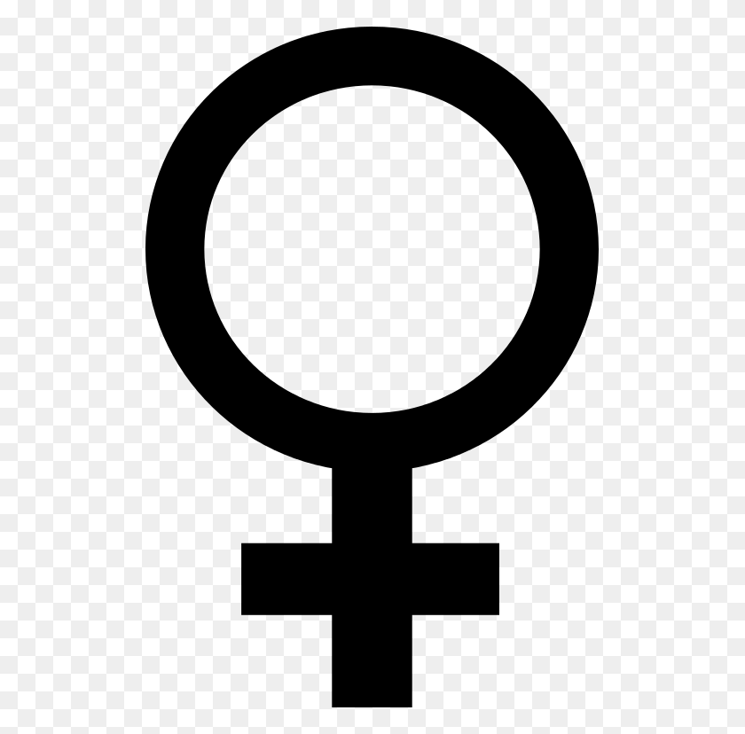 511x768 Símbolo Femenino Negro - Icono Femenino Png