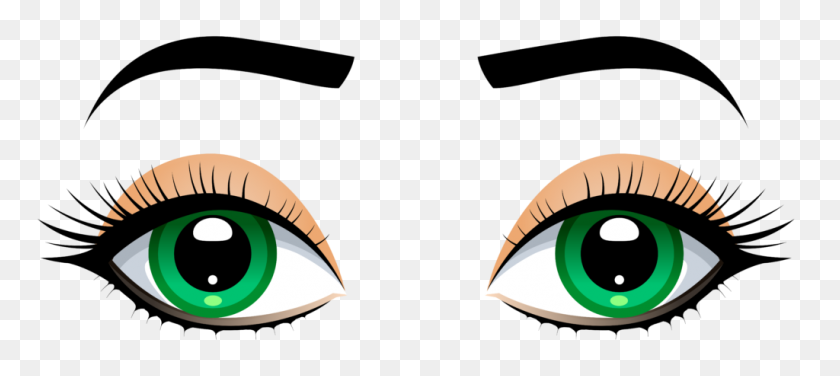 1024x415 Female Eyes With Eyebrows Png Clip Art - Eyes Looking Clipart