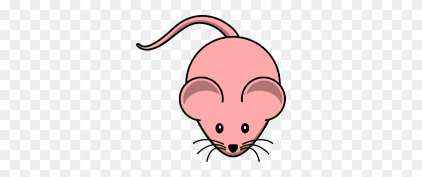 298x294 Female Mouse Png, Clip Art For Web - Wallaby Clipart