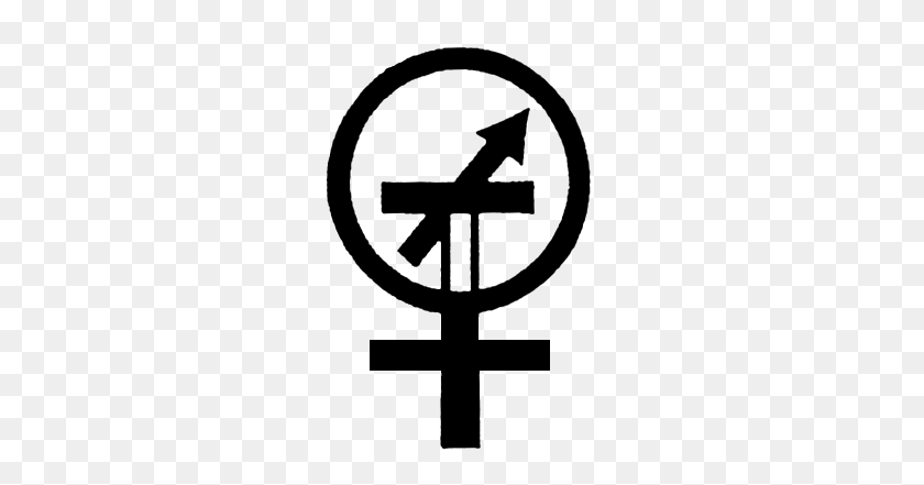 263x381 Feminist Libertarian - Feminist PNG