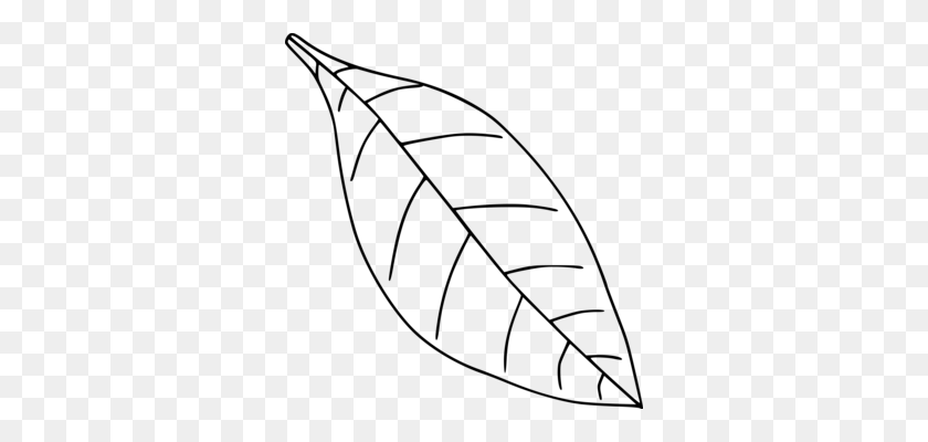 324x340 Fern Drawing Frond Leaf Black And White - Fern Clipart