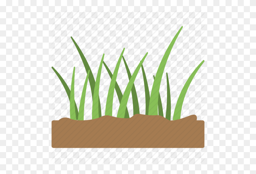 512x512 Fertile Soil, Grass, Grass Icon, Green Grass, Soil Icon - Green Grass PNG