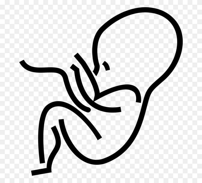 680x700 Пренатальное Эмбриональное Состояние Плода - Ребенок В Утробе Матери Клипарт