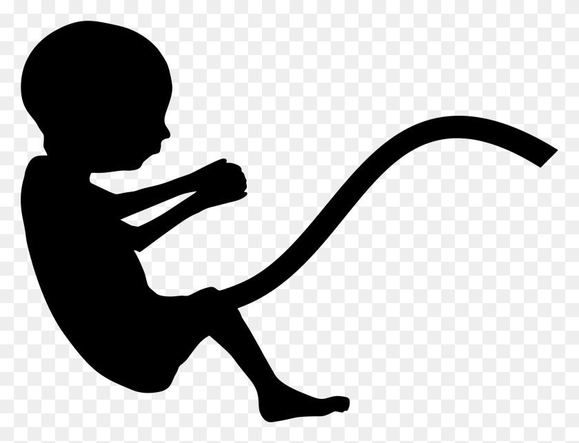 2108x1576 Fetus Silhouette Icons Png - Fetus PNG