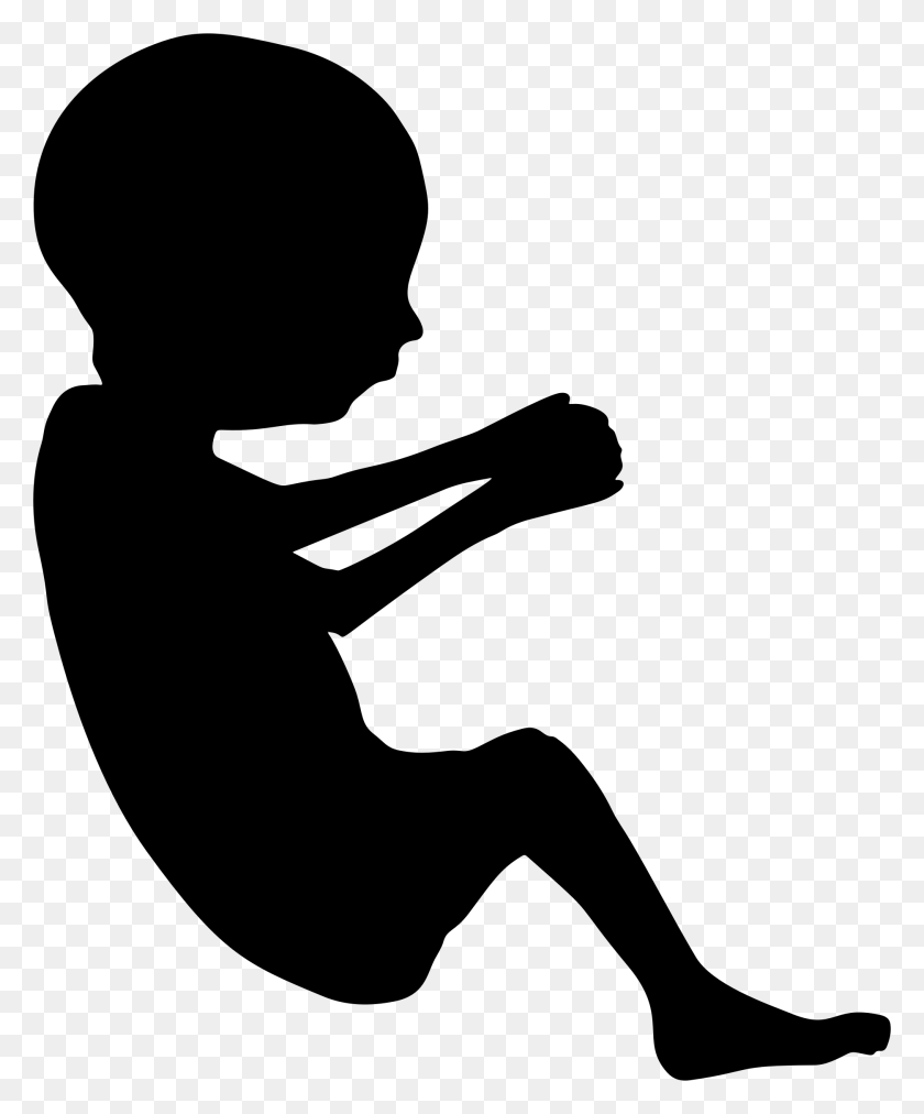 1874x2288 Fetus Silhouette Minus Cord Icons Png - Cord PNG
