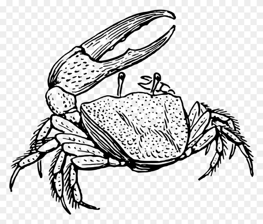 894x750 Fiddler Crab Drawing Decapoda Line Art - Crab Black And White Clipart