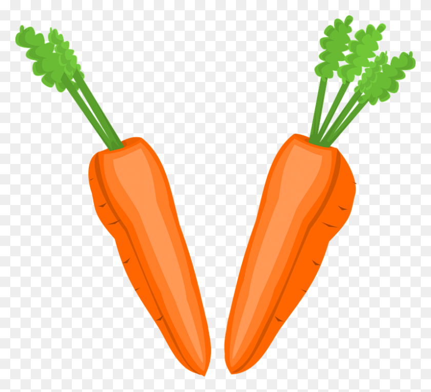 796x720 Field Clipart Carrot - Carrot Clipart
