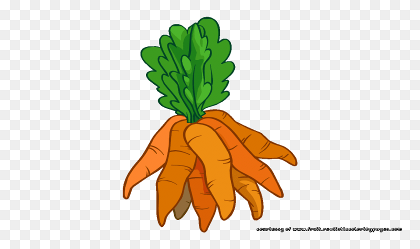 1280x720 Field Clipart Carrot - Carrot PNG