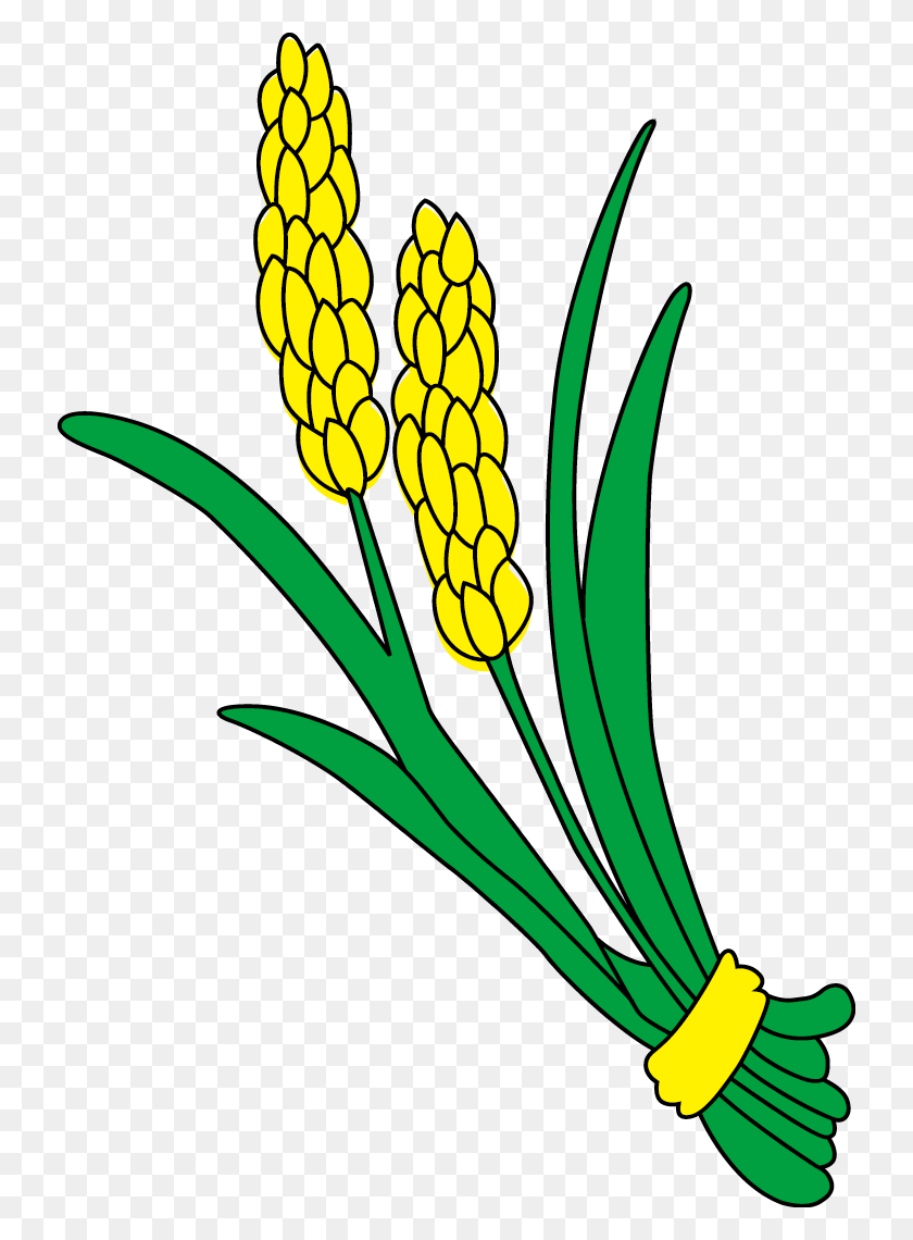 734x1080 Field Clipart Maize Field - Rice Plant Clipart