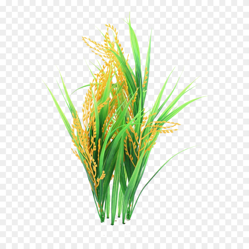 1100x1100 Field Clipart Rice - Grass Field PNG
