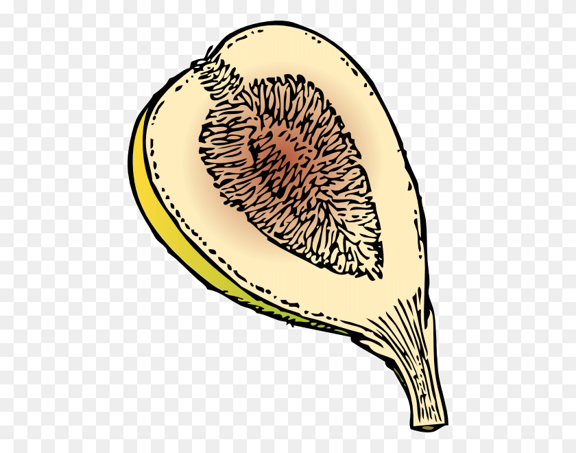 468x600 Fig Cartoon Cliparts - Fig Tree Clipart