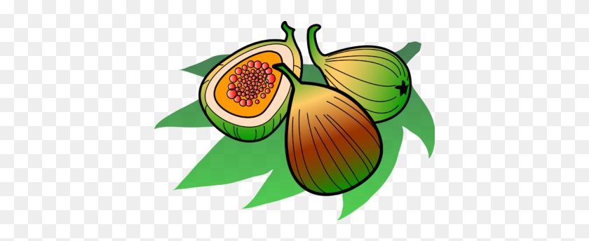 400x284 Fig Clipart Sliced - Fruit Fly Clipart
