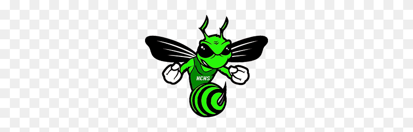 Fight Hornet Haines City High School - Hornet PNG