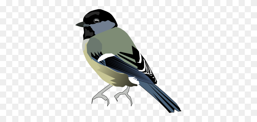 347x340 Los Pinzones Camachuelo Euroasiático De Aves Paseriformes - Robin Bird Clipart