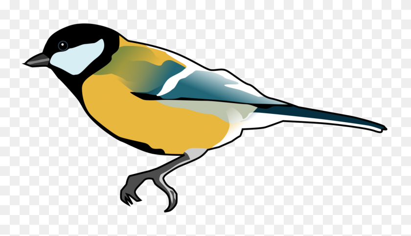 1382x750 Finches Songbird Drawing Computer Icons - Songbird Clipart