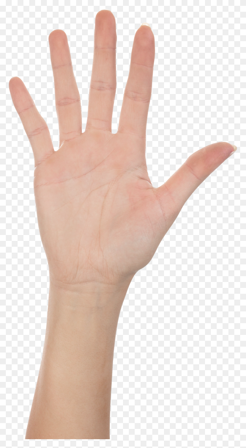 1505x2827 Fingers Clipart High Five - High Five PNG