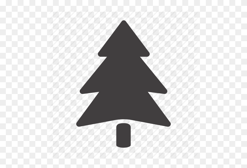 512x512 Fir, Fir Tree, Forest, Pine, Plant, Tree Icon - Pine Tree Silhouette PNG
