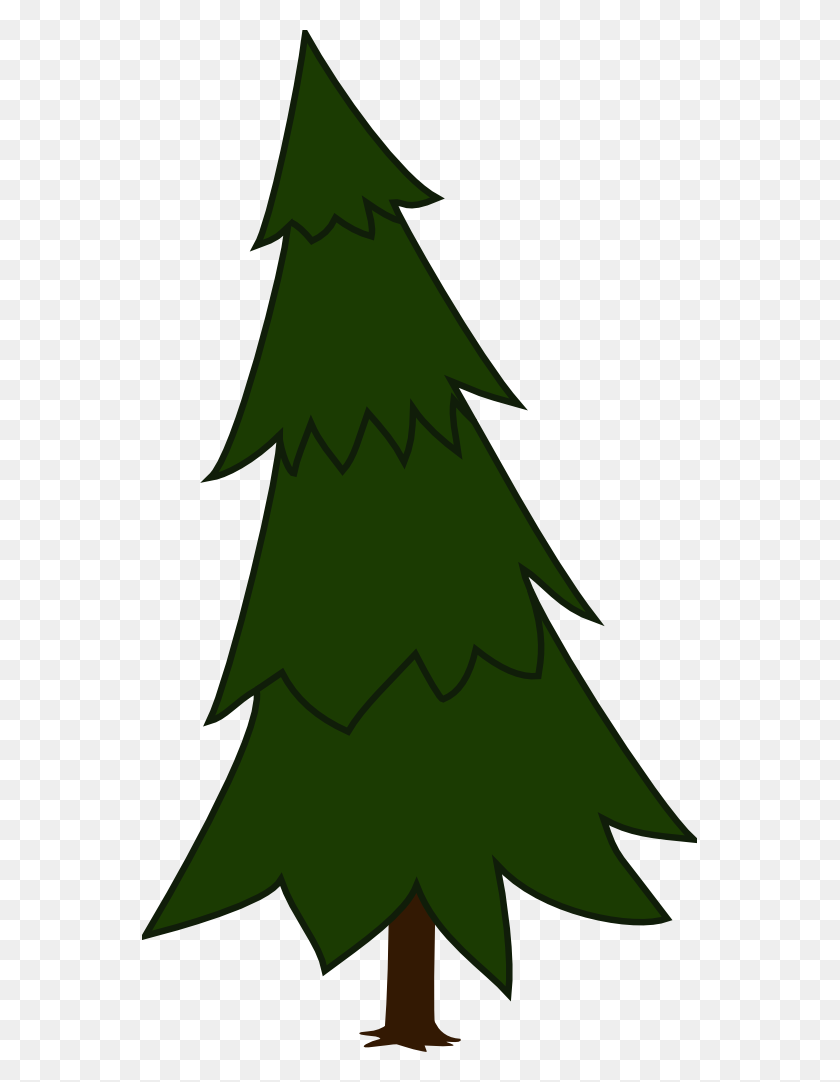 555x1022 Fir Tree Clipart Clip Art - Pine Clipart