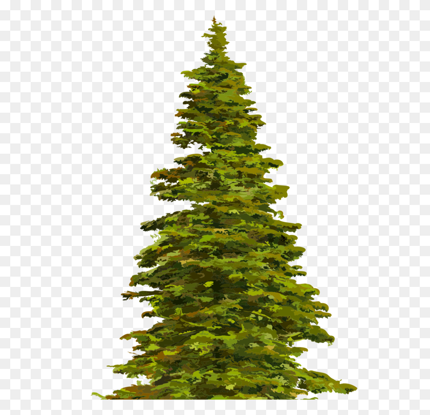 750x750 Fir Tree Norway Spruce Blue Spruce Pine - Pine Branch Clipart