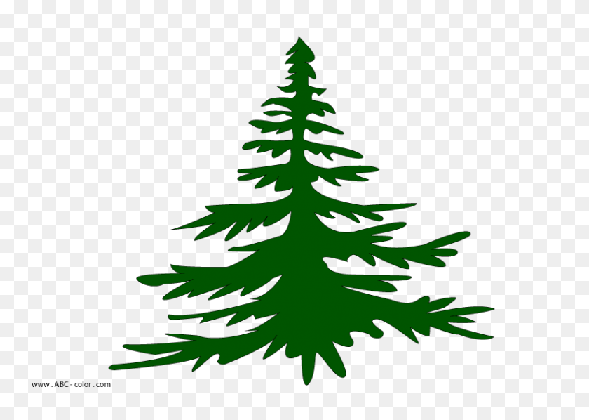 822x567 Fir Tree Raster Picture - Pine Tree Branch PNG