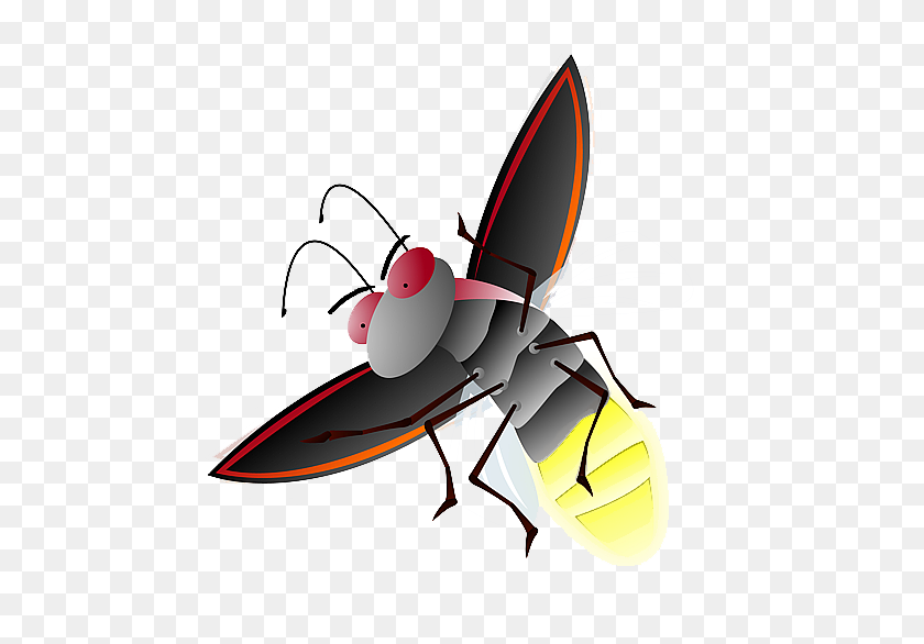 498x526 Firefly Png Transparent Firefly Images - Fireflies PNG