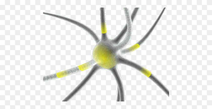 500x375 Firing Neuron Vector Clip Art - Neuron Clipart