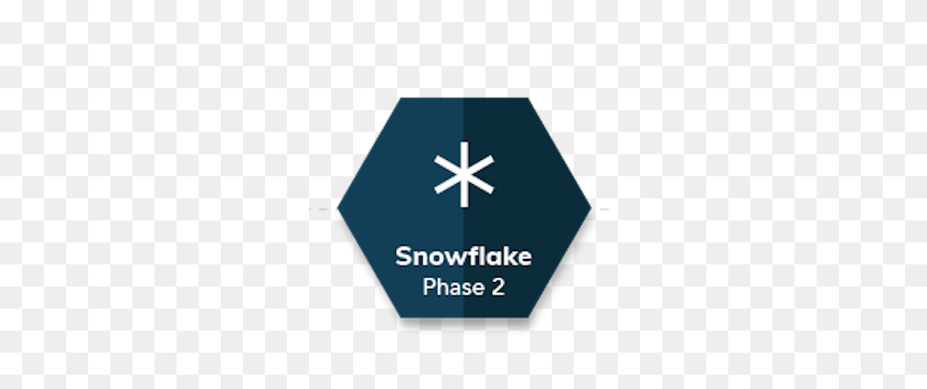 279x293 Первый Взгляд На Водородную Среду Hydro Snowflake - Снежинки Png Прозрачные