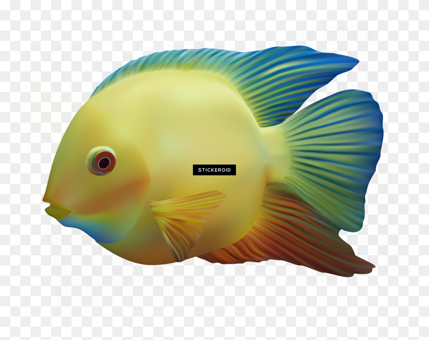 3333x2593 Fish - Betta Fish PNG