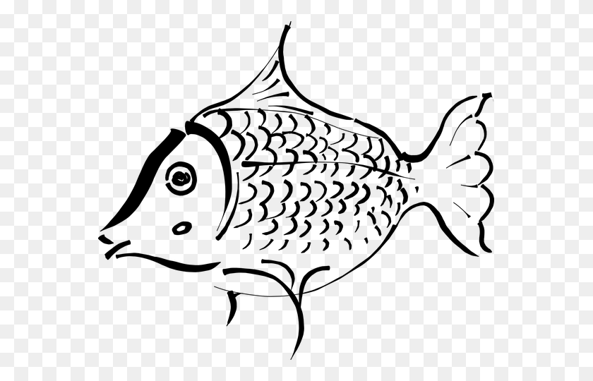 561x480 Fish, Calligraphic, Chinese Paiting Free Images - Shrimp Clipart Black And White