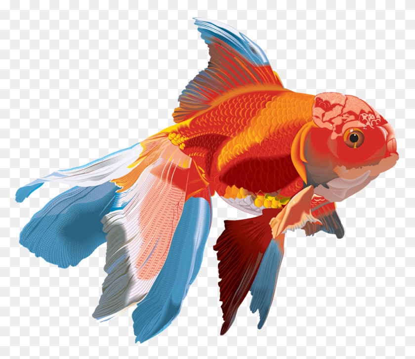 1055x901 Fish Clipart Png Transparent Images Free Download - Fish PNG