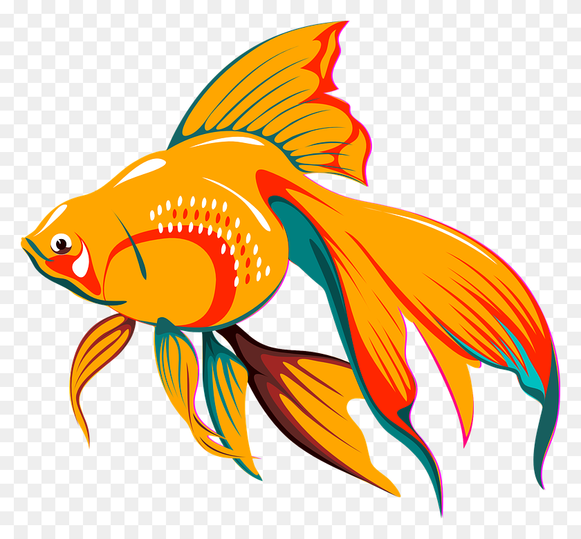 780x720 Fish Fins And Tail Cliparts - Freshwater Fish Clipart