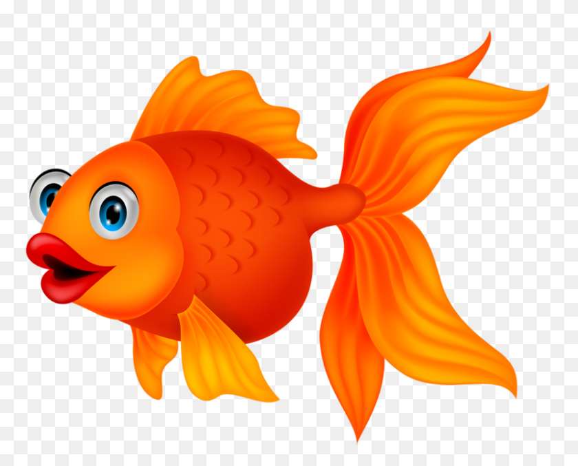 800x633 Fish, Fish Clipart - Orange Fish Clipart