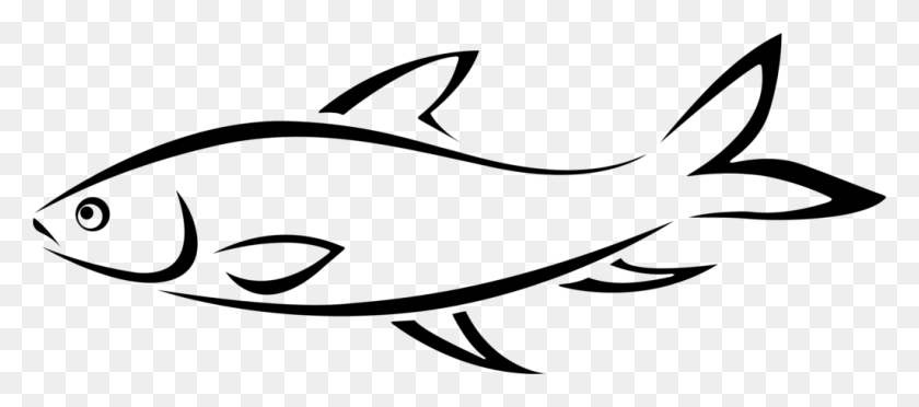 1024x410 Рыбная Еда Картинки - Рыба Чаша Клипарт Черный И Белый