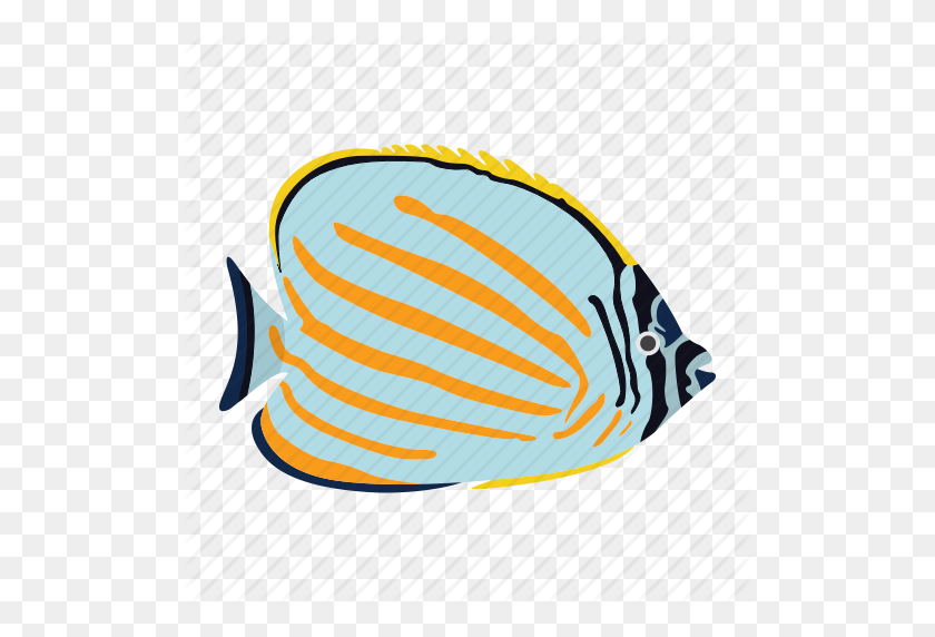512x512 Fish Icons' - Fish Vector PNG