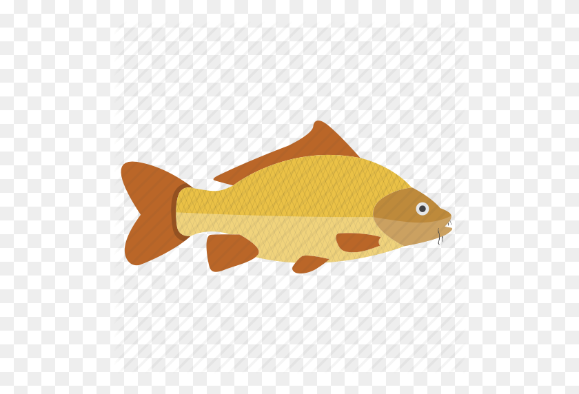 512x512 Fish Icons' - Koi Fish PNG