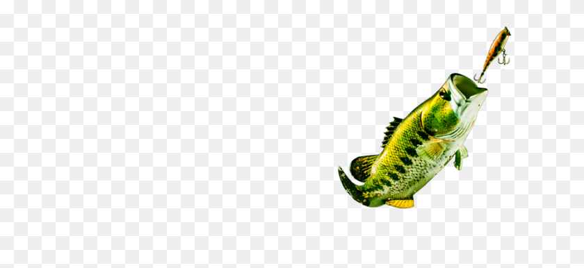 891x373 Fish Jumping Out Of Water Png - Fish Jumping Out Of Water PNG