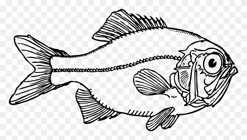 1969x1048 Искусство Линии Рыбы - Контур Рыбы Клипарт