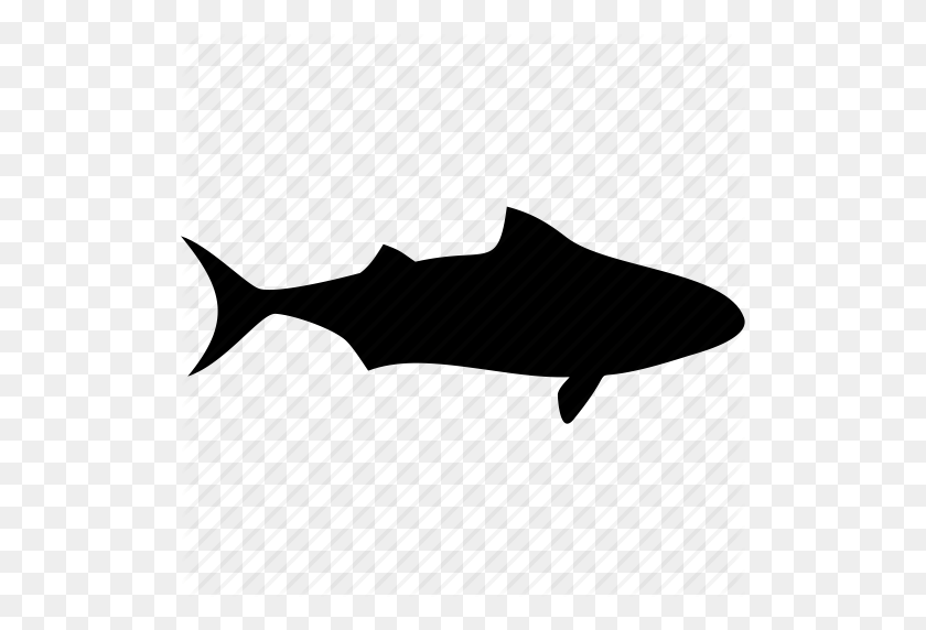 512x512 Fish, Ocean, Sea, Shark, Shark Attack, Shark Fin, Shark Warning Icon - Shark Fin PNG