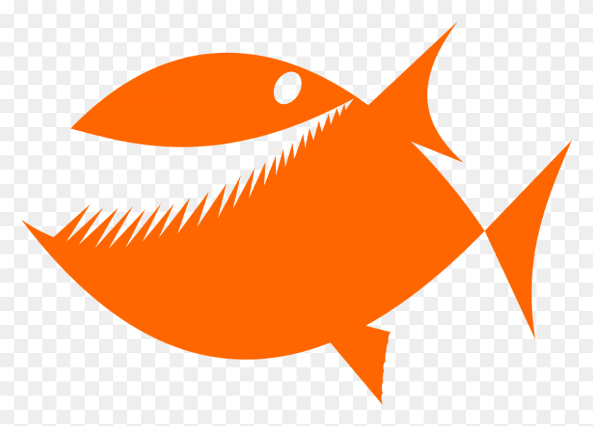 800x557 Клипарт Рыба Открытый Рот - Оранжевая Рыба Клипарт