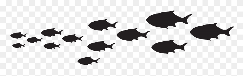 8000x2098 Fish Passage Silhouette Png Clip Art - Fish PNG